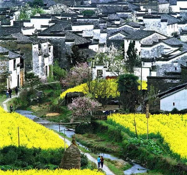 10000亿！中国迈入乡村旅游时代，下一个房地产